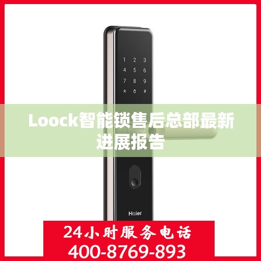 Loock智能锁售后总部最新进展报告