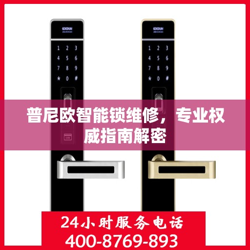 普尼欧智能锁维修，专业权威指南解密