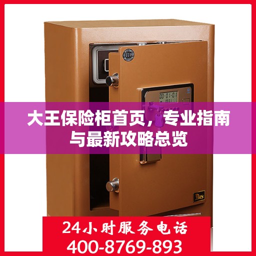 大王保险柜首页，专业指南与最新攻略总览