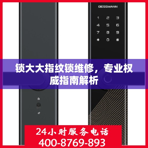 锁大大指纹锁维修，专业权威指南解析
