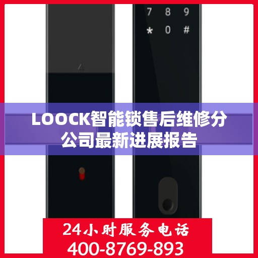LOOCK智能锁售后维修分公司最新进展报告