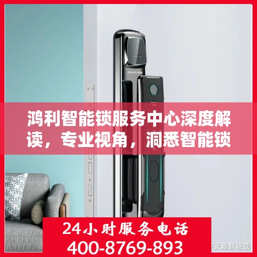 鸿利智能锁服务中心深度解读，专业视角，洞悉智能锁领域奥秘