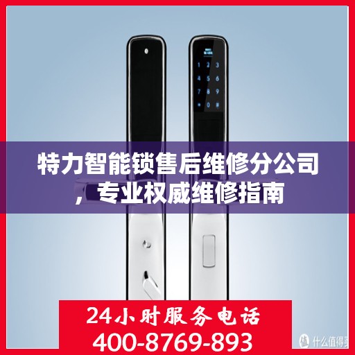 特力智能锁售后维修分公司，专业权威维修指南