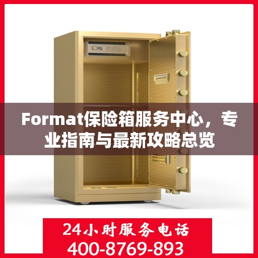 Format保险箱服务中心，专业指南与最新攻略总览