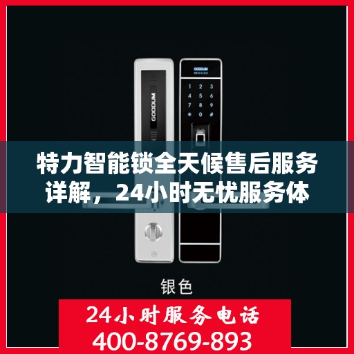特力智能锁全天候售后服务详解，24小时无忧服务体验
