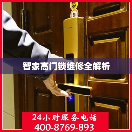 智家高门锁维修全解析