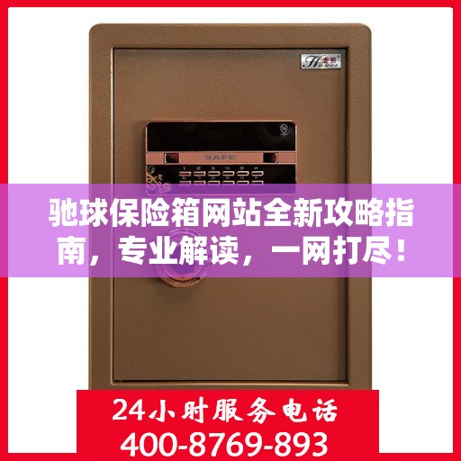 驰球保险箱网站全新攻略指南，专业解读，一网打尽！