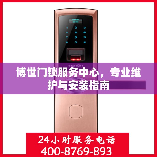 博世门锁服务中心，专业维护与安装指南