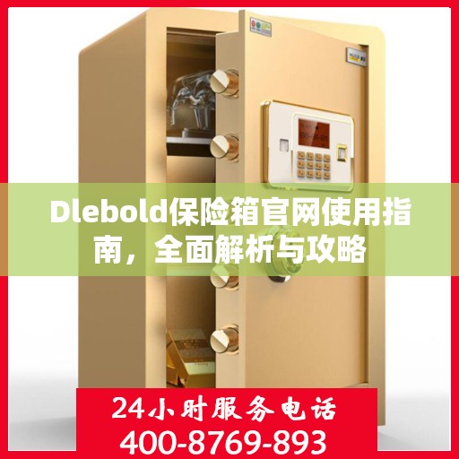 Dlebold保险箱官网使用指南，全面解析与攻略