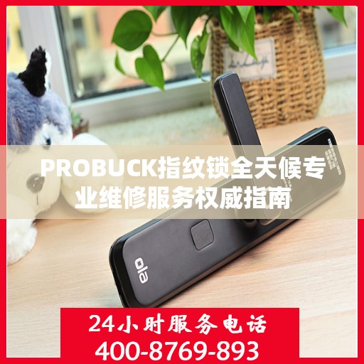 PROBUCK指纹锁全天候专业维修服务权威指南