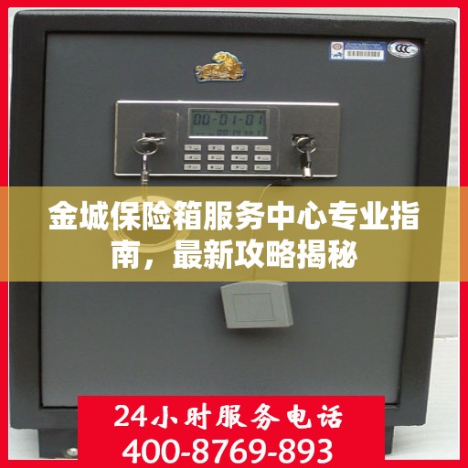 金城保险箱服务中心专业指南，最新攻略揭秘