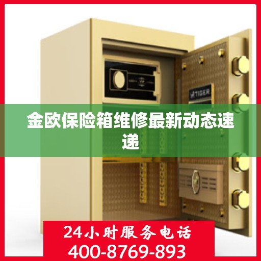 金欧保险箱维修最新动态速递