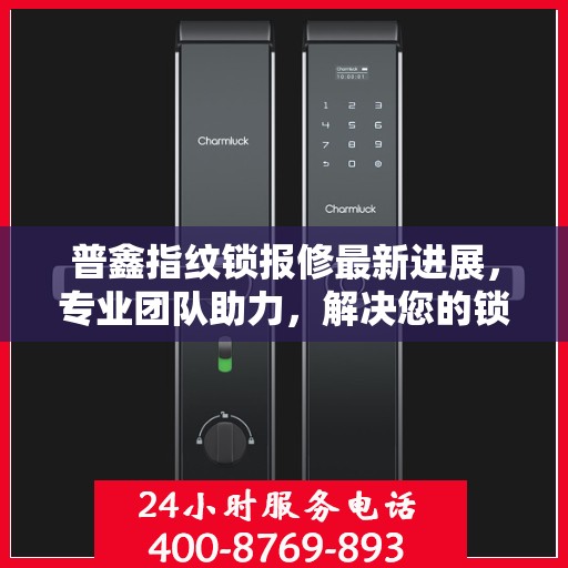 普鑫指纹锁报修最新进展，专业团队助力，解决您的锁事无忧