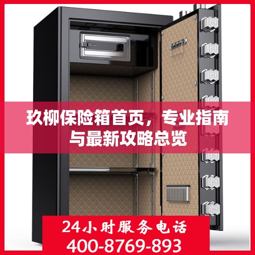 玖柳保险箱首页，专业指南与最新攻略总览