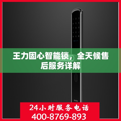 王力固心智能锁，全天候售后服务详解