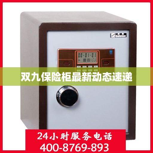双九保险柜最新动态速递
