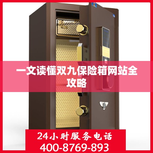 一文读懂双九保险箱网站全攻略