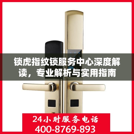 锁虎指纹锁服务中心深度解读，专业解析与实用指南