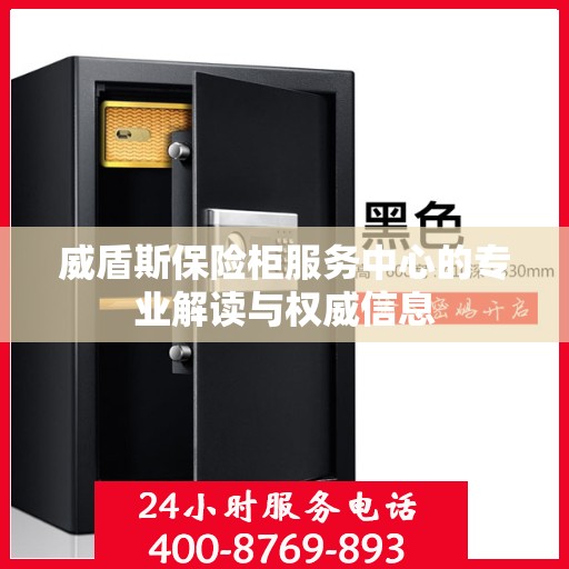 威盾斯保险柜服务中心的专业解读与权威信息