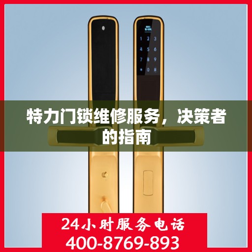 特力门锁维修服务，决策者的指南