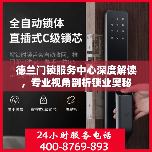 德兰门锁服务中心深度解读，专业视角剖析锁业奥秘