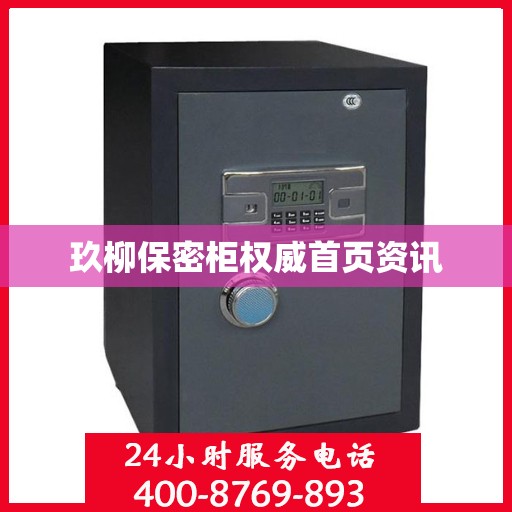 玖柳保密柜权威首页资讯