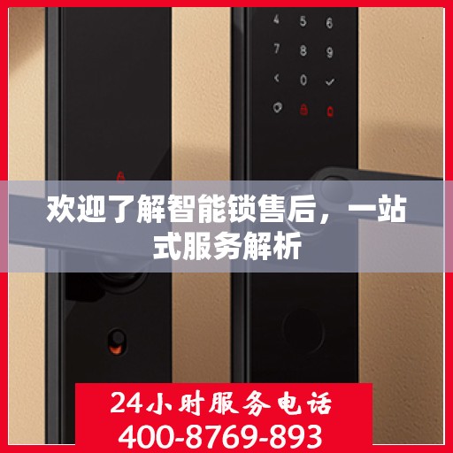 欢迎了解智能锁售后，一站式服务解析