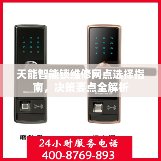 天能智能锁维修网点选择指南，决策要点全解析