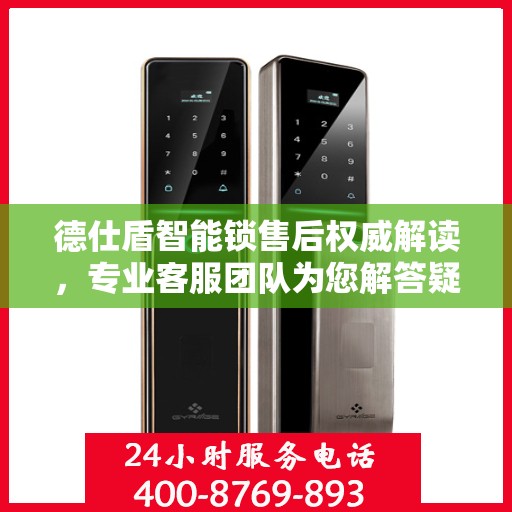 德仕盾智能锁售后权威解读，专业客服团队为您解答疑惑