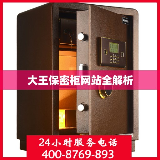 大王保密柜网站全解析