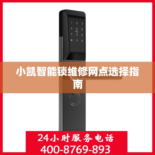 小凯智能锁维修网点选择指南