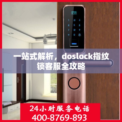 一站式解析，doslock指纹锁客服全攻略