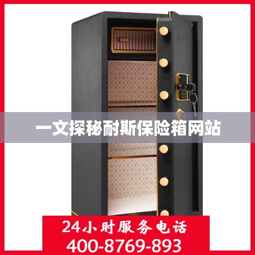 一文探秘耐斯保险箱网站