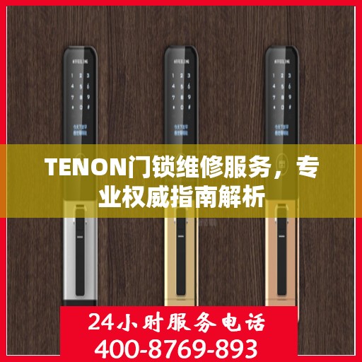 TENON门锁维修服务，专业权威指南解析