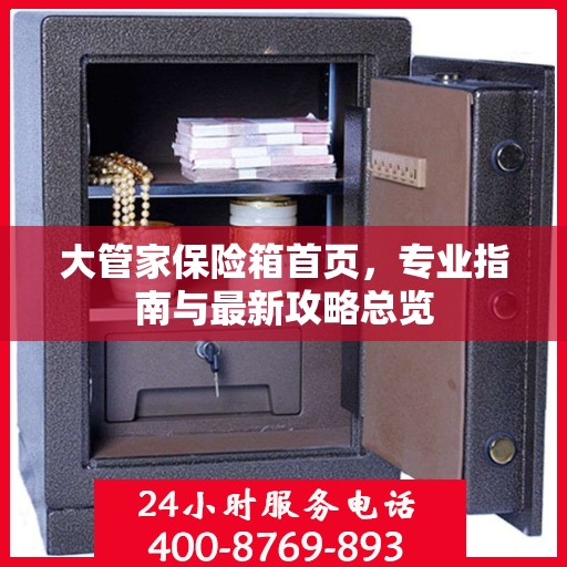 大管家保险箱首页，专业指南与最新攻略总览