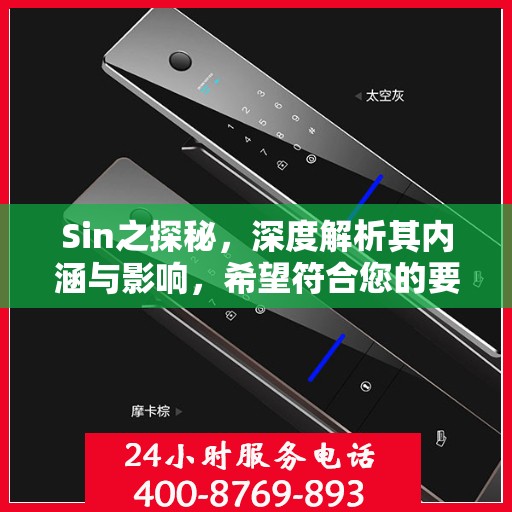 Sin之探秘，深度解析其内涵与影响，希望符合您的要求，您也可酌情调整。