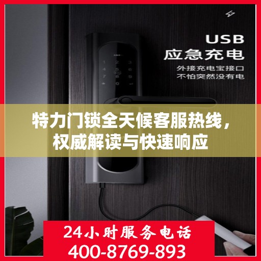 特力门锁全天候客服热线，权威解读与快速响应