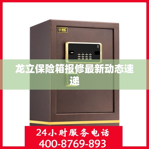 龙立保险箱报修最新动态速递