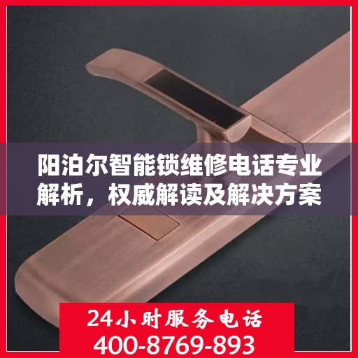 阳泊尔智能锁维修电话专业解析，权威解读及解决方案