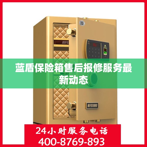 蓝盾保险箱售后报修服务最新动态