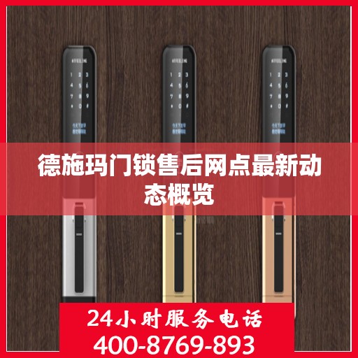 德施玛门锁售后网点最新动态概览
