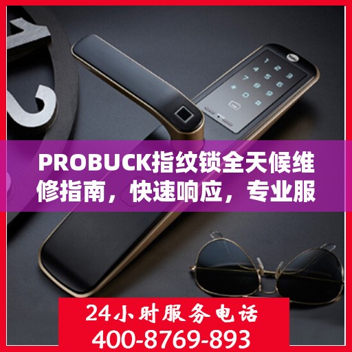 PROBUCK指纹锁全天候维修指南，快速响应，专业服务，让您无忧安全锁事
