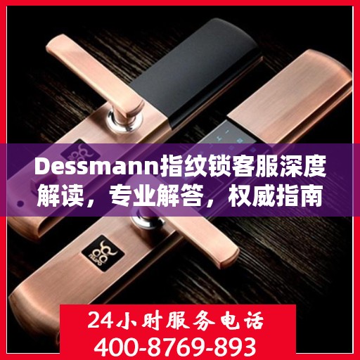 Dessmann指纹锁客服深度解读，专业解答，权威指南
