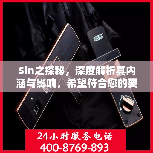 Sin之探秘，深度解析其内涵与影响，希望符合您的要求，您也可酌情调整。