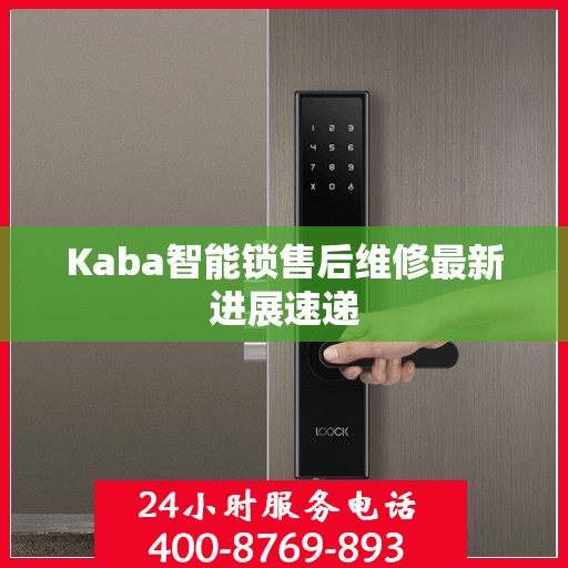 Kaba智能锁售后维修最新进展速递