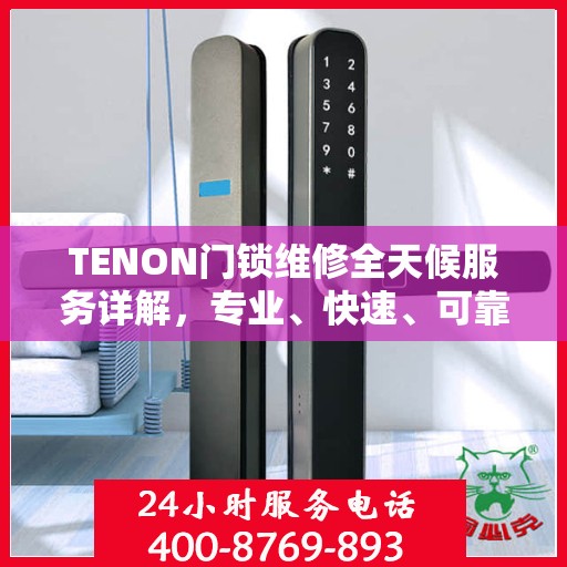 TENON门锁维修全天候服务详解，专业、快速、可靠的解决方案