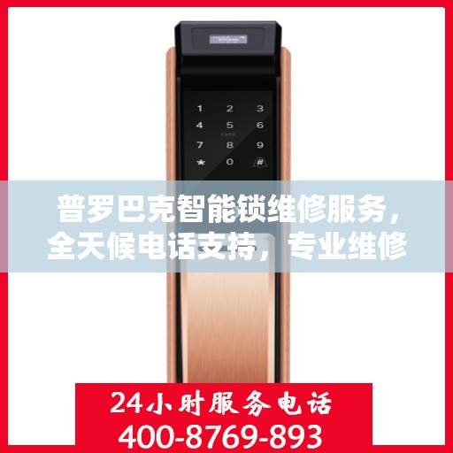 普罗巴克智能锁维修服务，全天候电话支持，专业维修团队随时待命