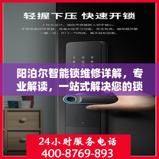 阳泊尔智能锁维修详解，专业解读，一站式解决您的锁具问题