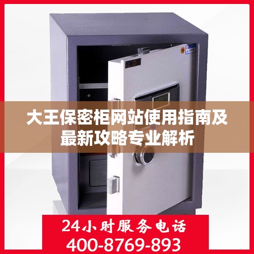 大王保密柜网站使用指南及最新攻略专业解析