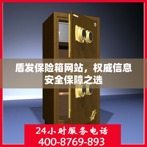盾发保险箱网站，权威信息安全保障之选
